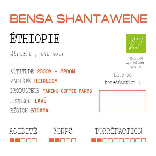 Bensa Shantawene - Ethiopie - lavé