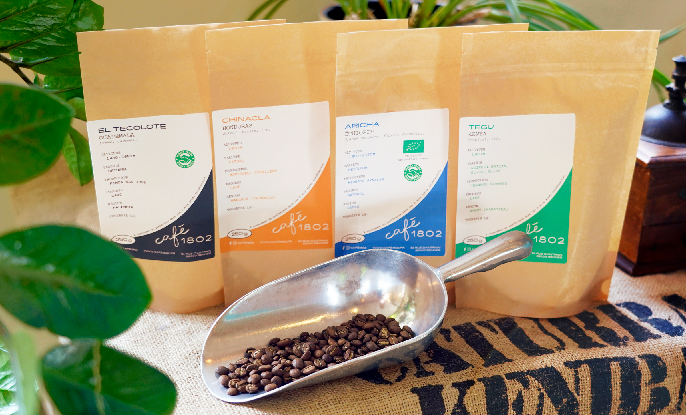Photo d'un sachet de café de spécialité café 1802. Torréfaction en Bretagne de haute qualité.