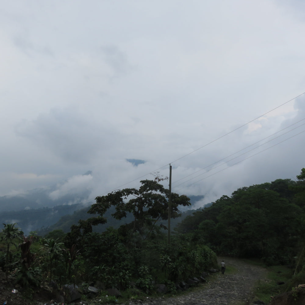 Rayo Del Sol - Organic Peru