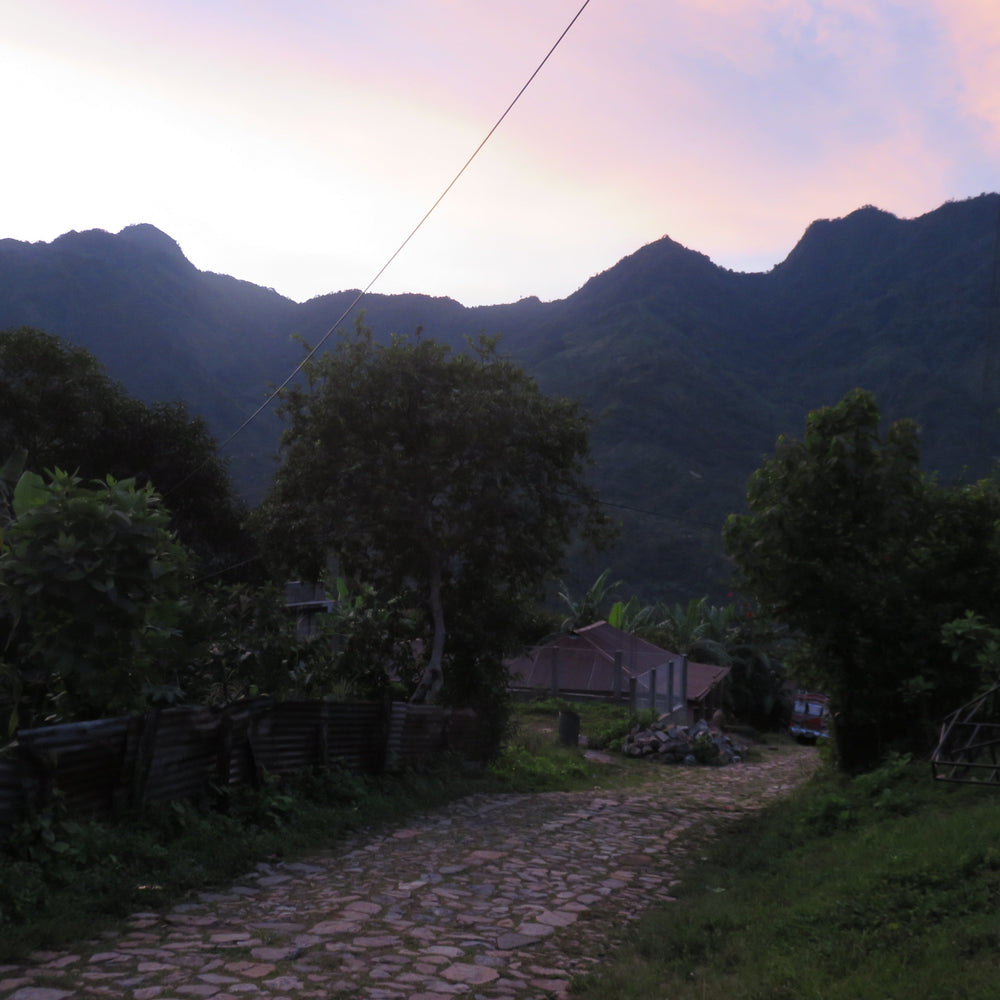 "El Rico" - New Blend Organic