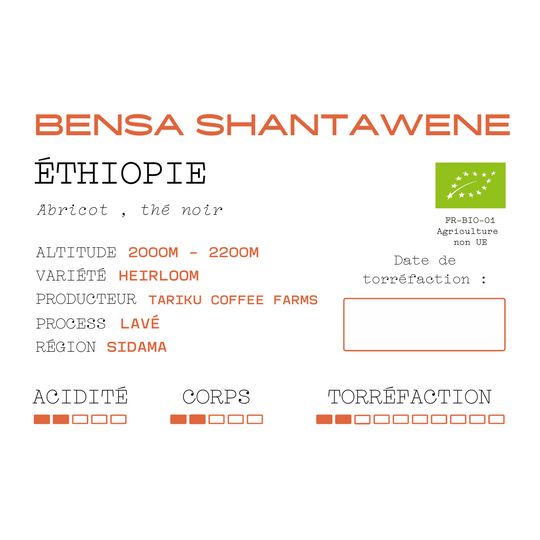 Bensa Shantawene - Ethiopie - lavé